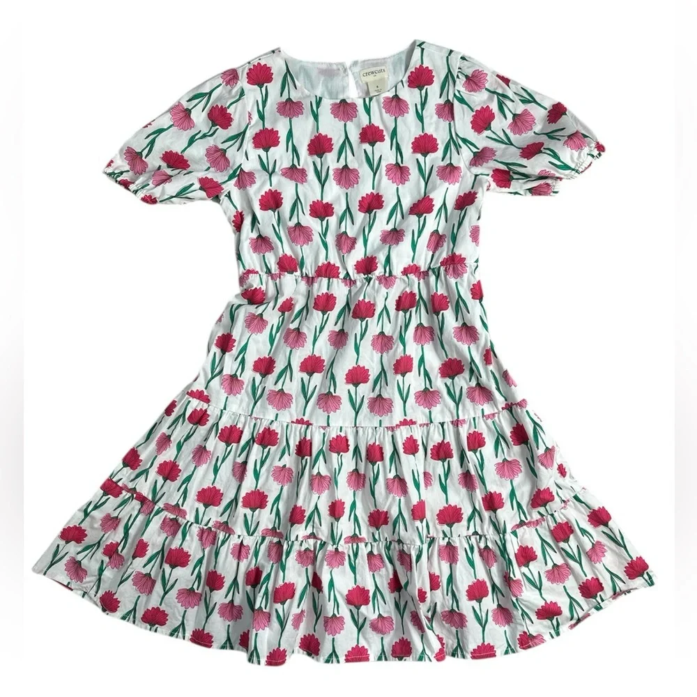 J Crew Crewcuts Pink and Green Floral Kids Dress